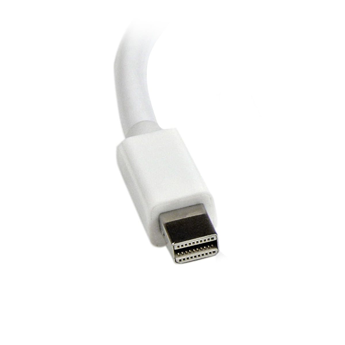 13544560_6426776698.jpg