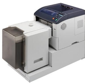 15688049-4049.jpg