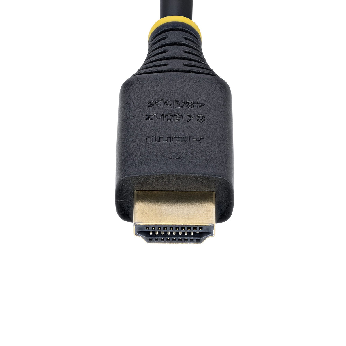 3d3835ba943ac50a94630643098617915e033528.jpg