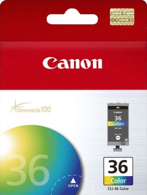 9934260_3106.jpg