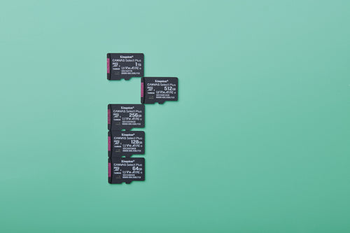 d1390ea7b623d2dbd21f6555ae288bf84779487c.jpg